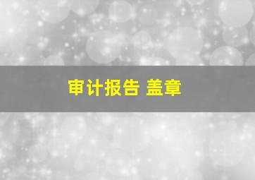 审计报告 盖章